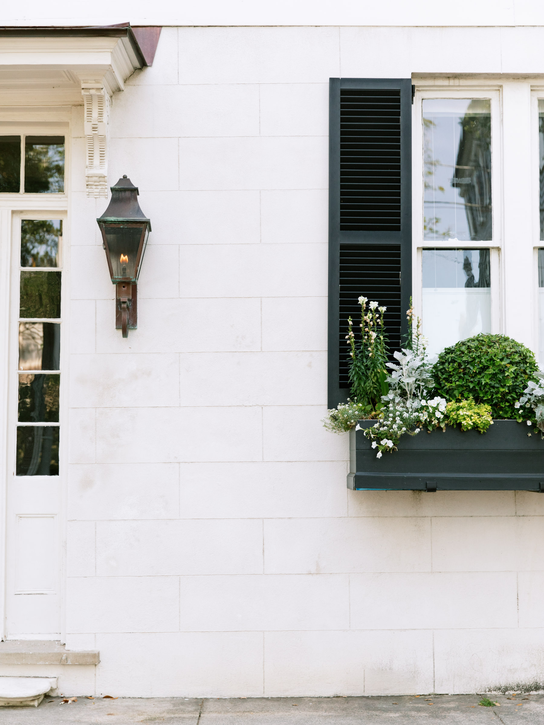The Gut-Peptide Connection: BPC-157 + KPV for Digestive Healing